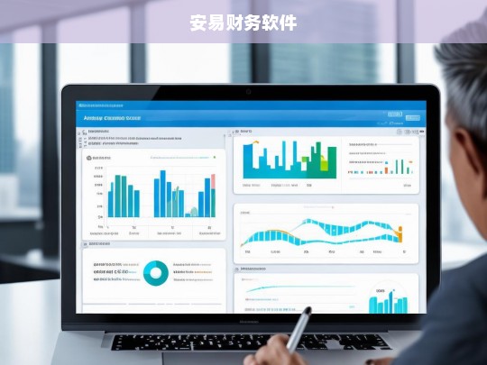 安易财务软件，高效财务管理解决方案