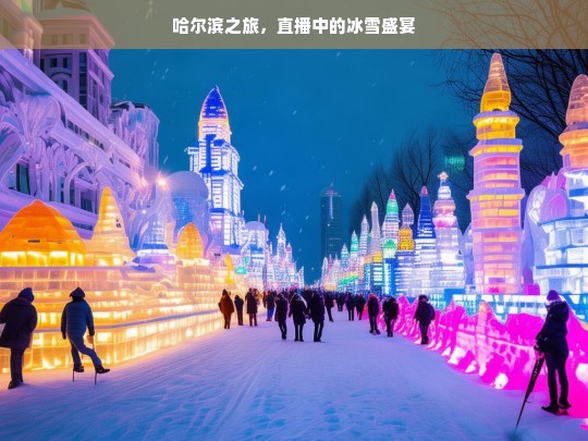 哈尔滨之旅，直播中的冰雪盛宴，哈尔滨之旅，直播冰雪盛宴