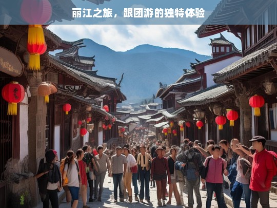 丽江之旅，跟团游的独特体验，丽江跟团游，独特体验之旅