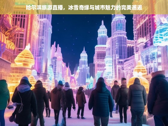 哈尔滨旅游直播，冰雪奇缘与城市魅力的完美邂逅