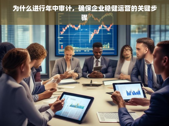 年中审计，确保企业稳健运营的关键步骤与重要性