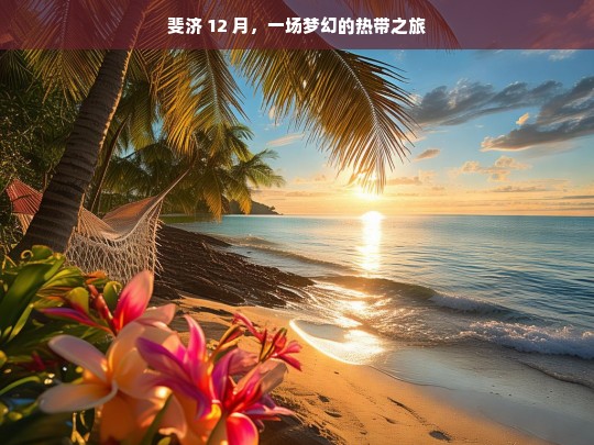 斐济 12 月，一场梦幻的热带之旅，12 月斐济，梦幻热带之旅