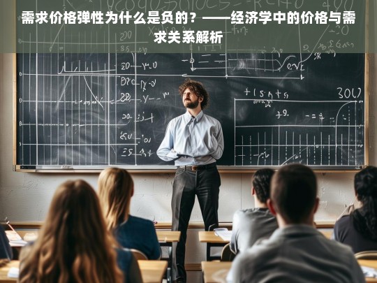 需求价格弹性为负的原因解析，价格与需求的反向关系