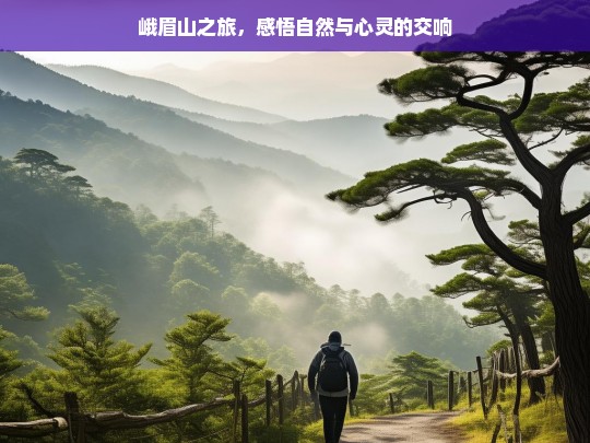 峨眉山之旅，感悟自然与心灵的交响，峨眉山之旅，自然与心灵的交响盛宴