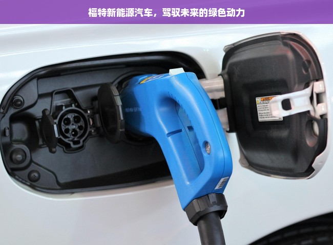 福特新能源汽车，驾驭未来的绿色动力