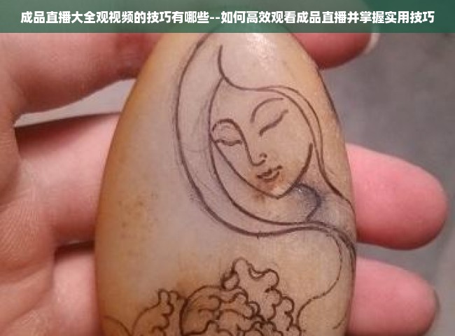 成品直播大全观视频的技巧有哪些--如何高效观看成品直播并掌握实用技巧