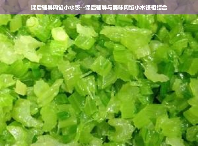 课后辅导肉馅小水饺--课后辅导与美味肉馅小水饺相结合