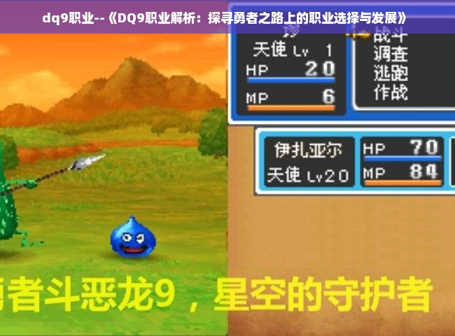 dq9职业--《DQ9职业解析：探寻勇者之路上的职业选择与发展》 