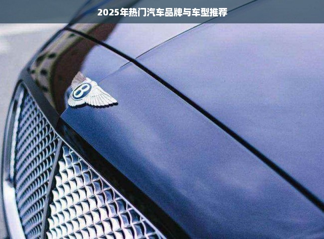 2025年热门汽车品牌与车型推荐