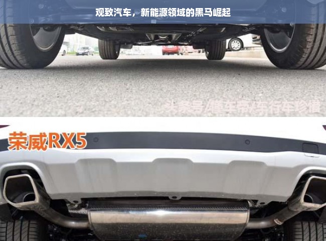 观致汽车，新能源领域的黑马崛起