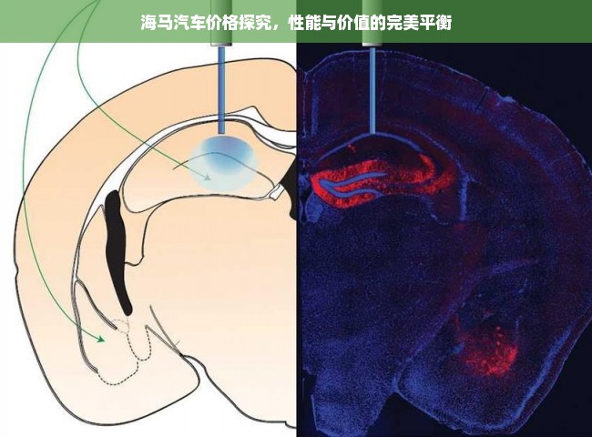 海马汽车价格探究，性能与价值的完美平衡