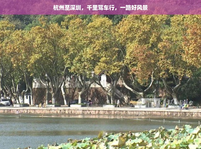 杭州至深圳，千里驾车行，一路好风景