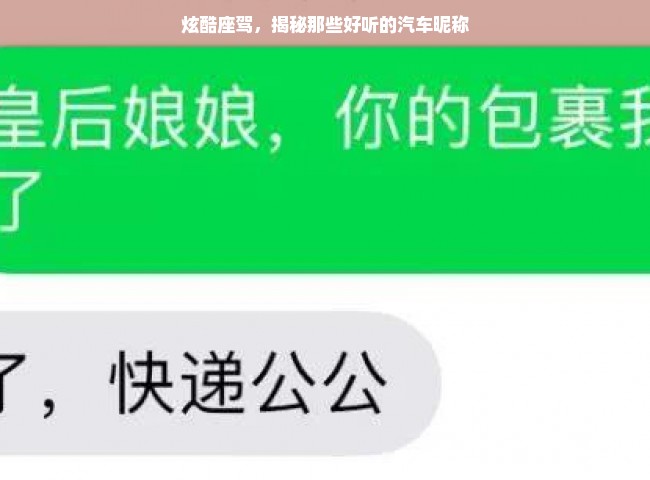 炫酷座驾，揭秘那些好听的汽车昵称