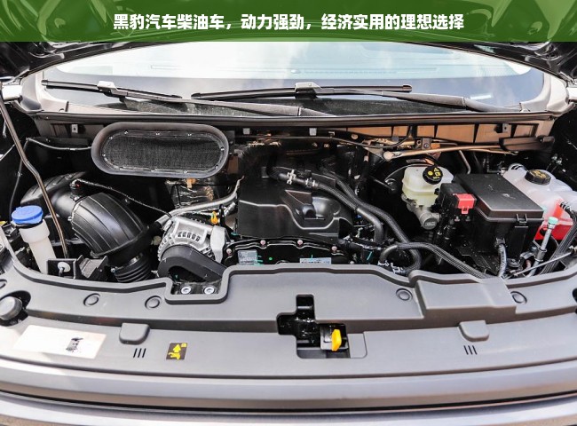 黑豹汽车柴油车，动力强劲，经济实用的理想选择