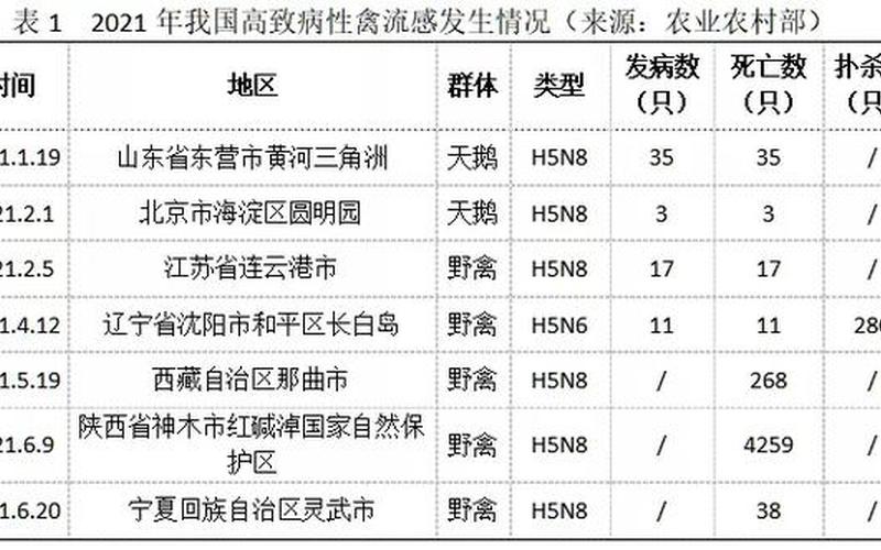 2020禽流感疫情在哪里，2022澳门疫情最新情况,澳门最新消息2021