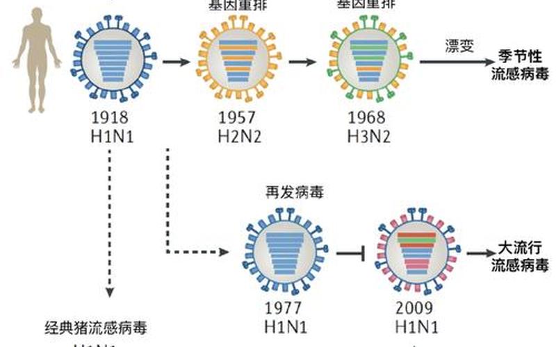 2020禽流感疫情在哪里，2021疫情、2021疫情回顾